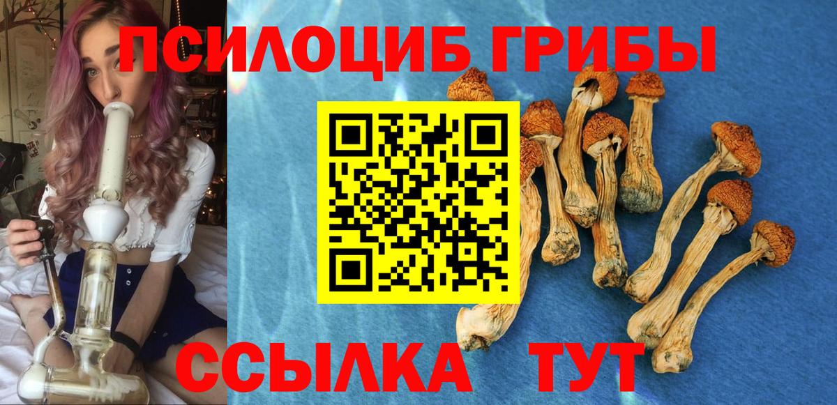 Псилоцибиновые грибы Magic Shrooms  Вход с VPN  Кинешма  Псилоцибиновые грибы GOLDEN TEACHER 