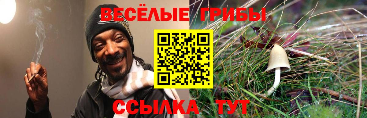Галлюциногенные грибы ЛСД Кинешма